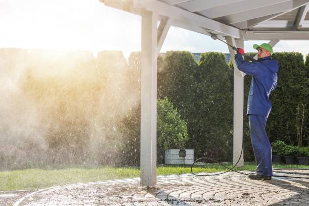 Best Paint Preparation  in Linda, CA