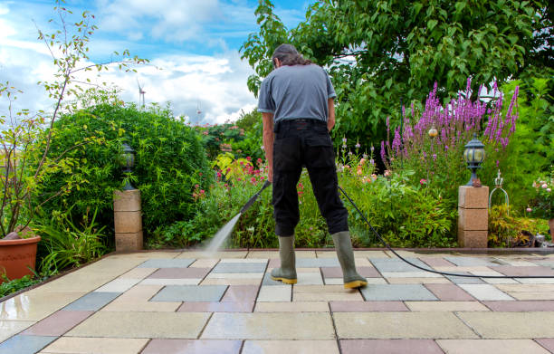 Best Animal Enclosure Cleaning  in Linda, CA